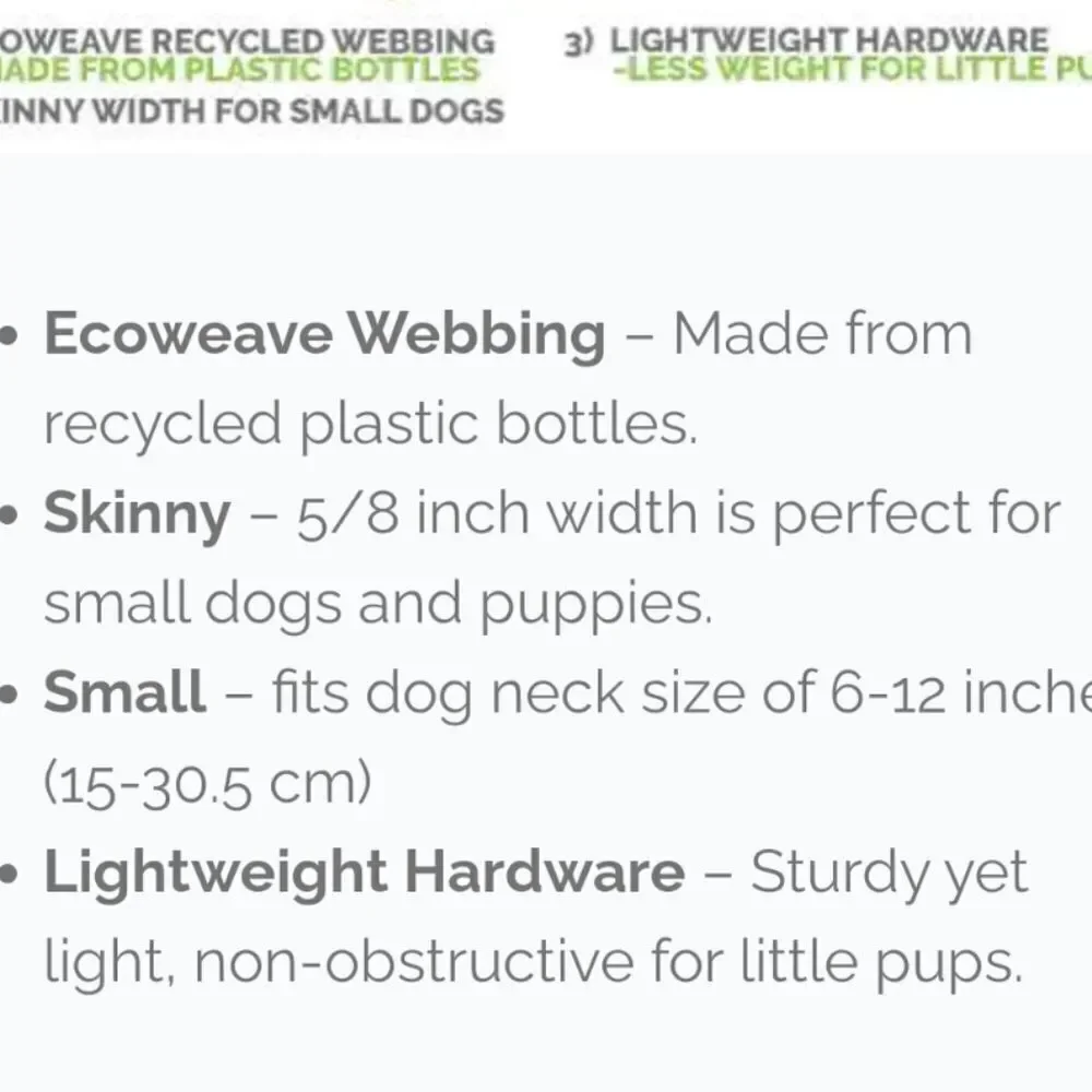 Earth Friendly Recyclable Collar Cycle Dog